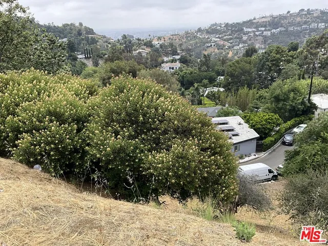 a view of a forest with mountains in the background