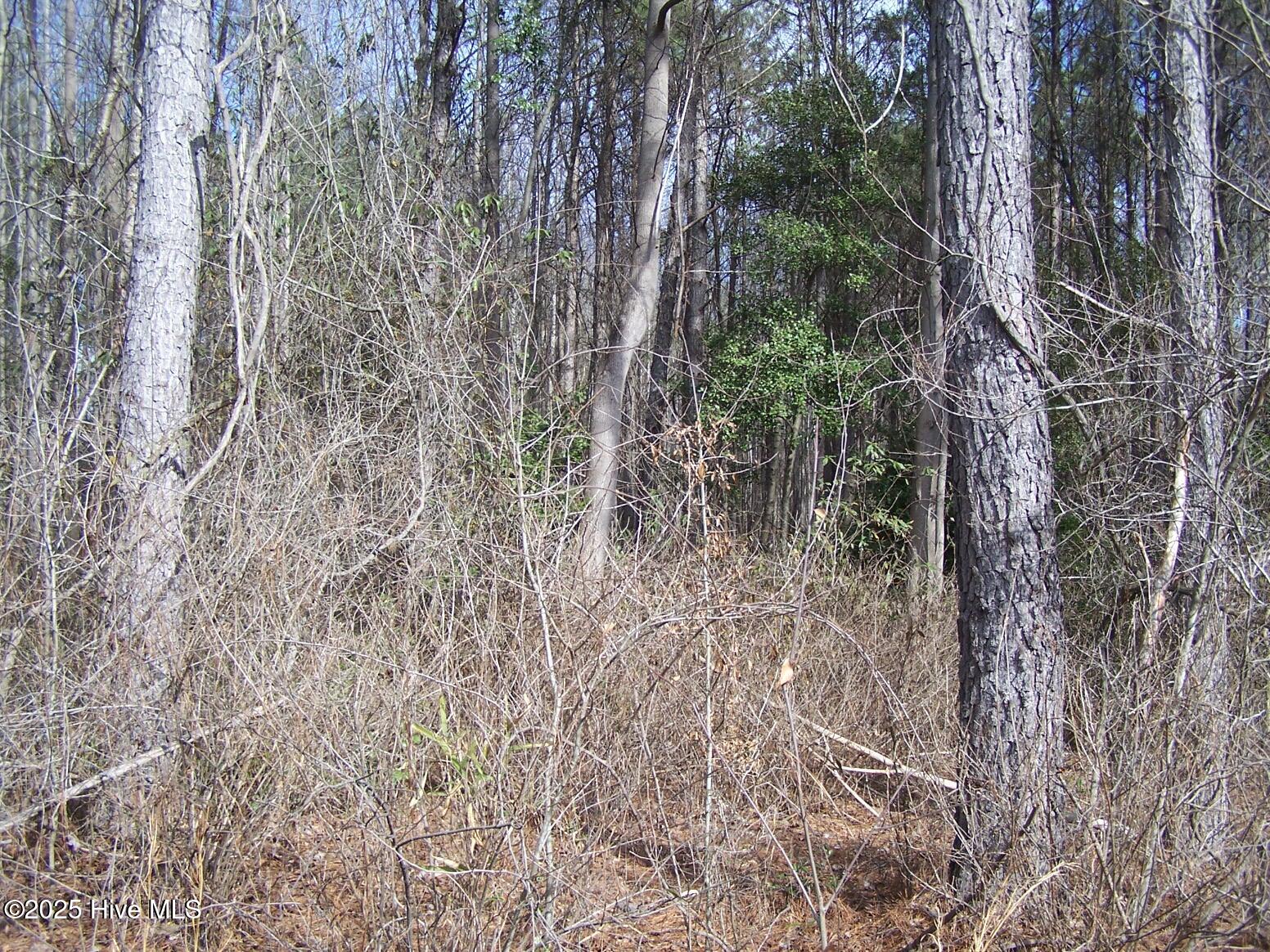 Tbd Bennett Road Ellerbe, NC 28338 - Photo 3 of 12 front of the lot