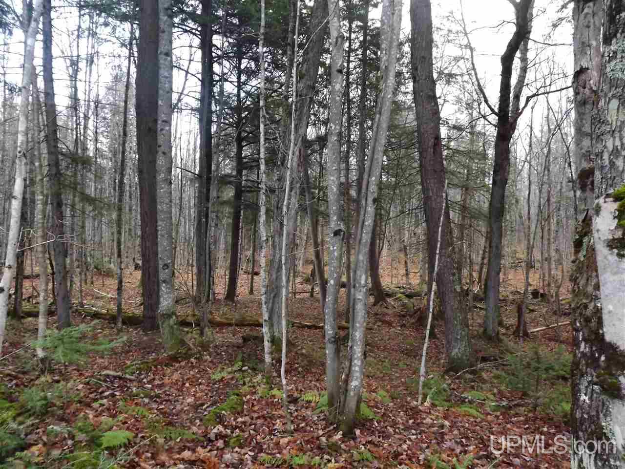 Tbd Yellow Road, Unit 277 & 298 Pelkie, MI 49952 - Photo 2 of 10