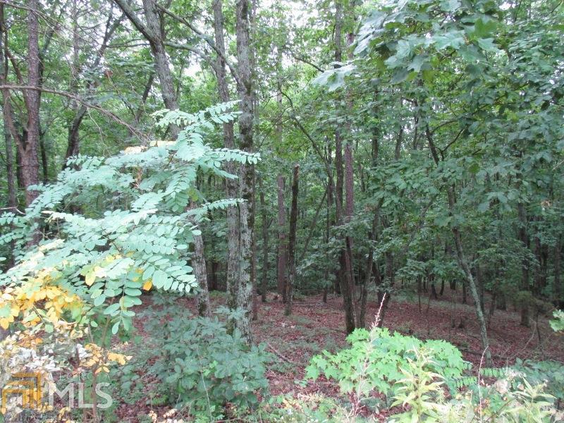 0 Wauka Ridge Road, Unit 44 Clermont, GA 30527 - Photo 1 of 1 Gallery Image 1