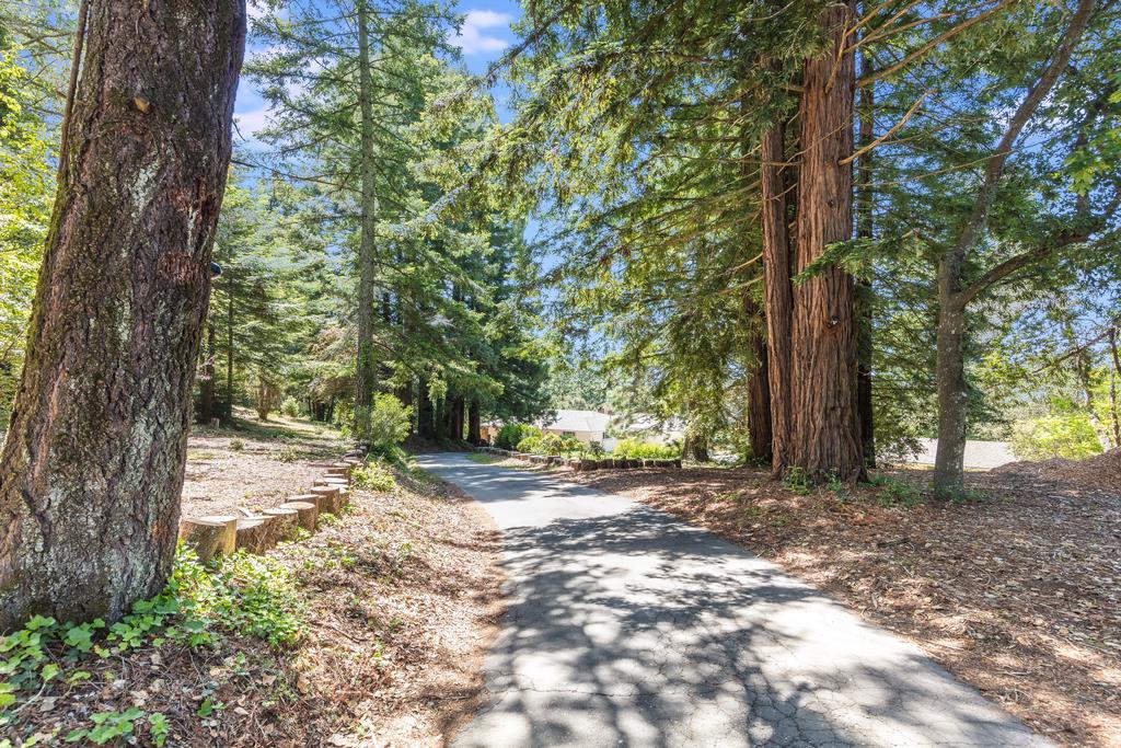 22930 Summit Road Los Gatos, CA 95033 - Photo 2 of 50 a view of a tree in the middle of a yard