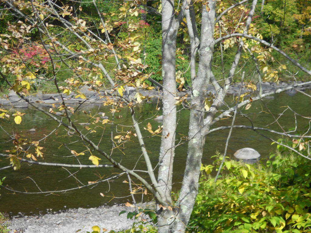 45 Elk Brk Road Roscoe, NY 12776 - Photo 7 of 8 Gallery Image 7