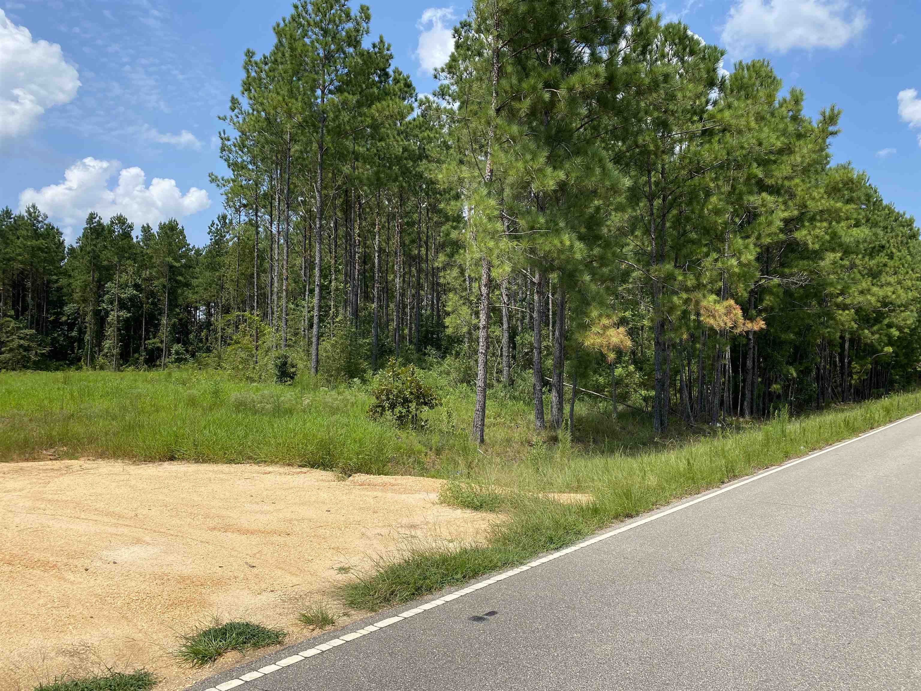 1671 Booneville Road Atmore, AL 36502 - Photo 2 of 4