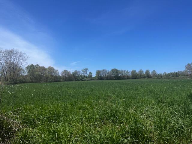 0 Weechik Road Sawyer, MI 49125 - Photo 2 of 3 IMG_2600