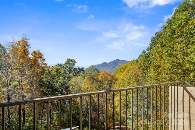 $1,250,000 | 96 Old Cv Road, Black Mountain, NC 28711
