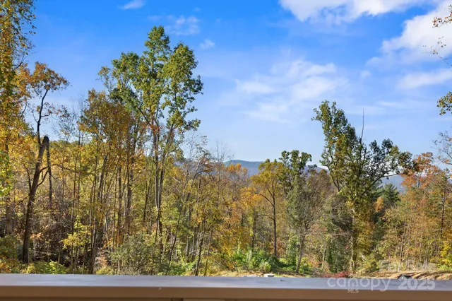 $1,250,000 | 96 Old Cv Road, Black Mountain, NC 28711
