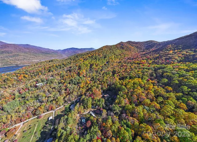 $1,250,000 | 96 Old Cv Road, Black Mountain, NC 28711
