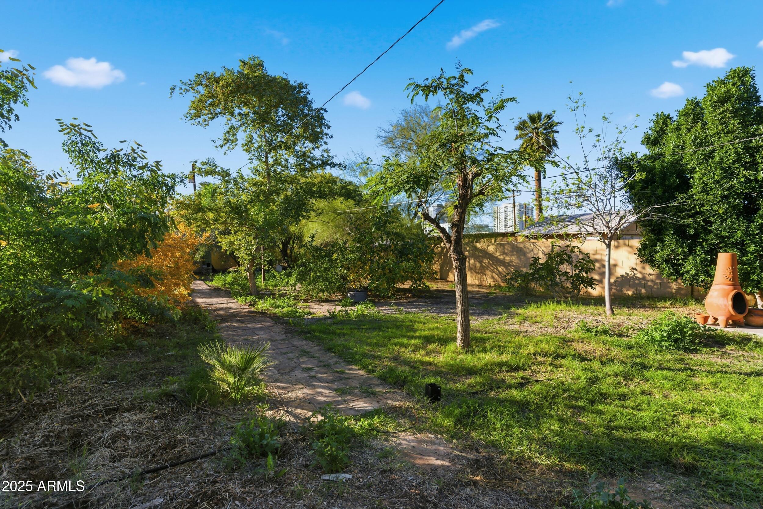 723 East Moreland Street Phoenix, AZ 85006 - Photo 21 of 25 a backyard of a house with lots of green space