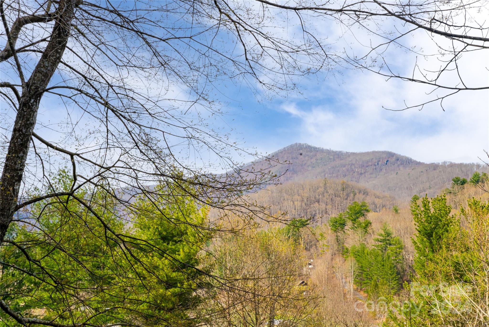 202 Laurel Ridge Road Asheville, NC 28805 - Photo 2 of 45 Gallery Image 2