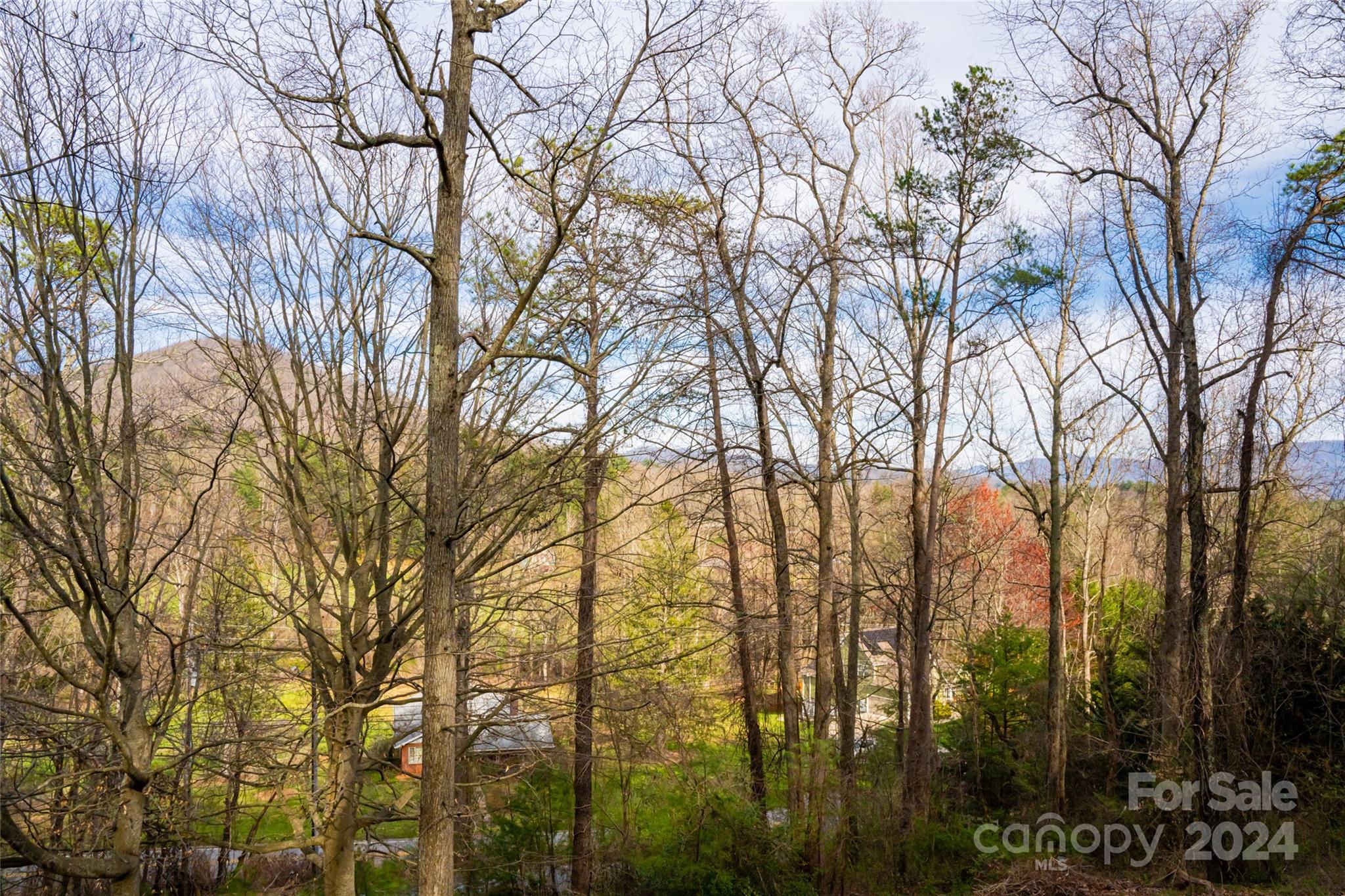 202 Laurel Ridge Road Asheville, NC 28805 - Photo 39 of 45 Gallery Image 39