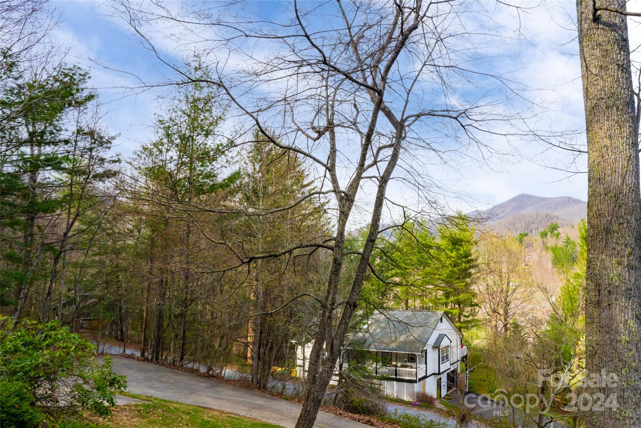 202 Laurel Ridge Road Asheville, NC 28805 - Photo 40 of 45 Gallery Image 40