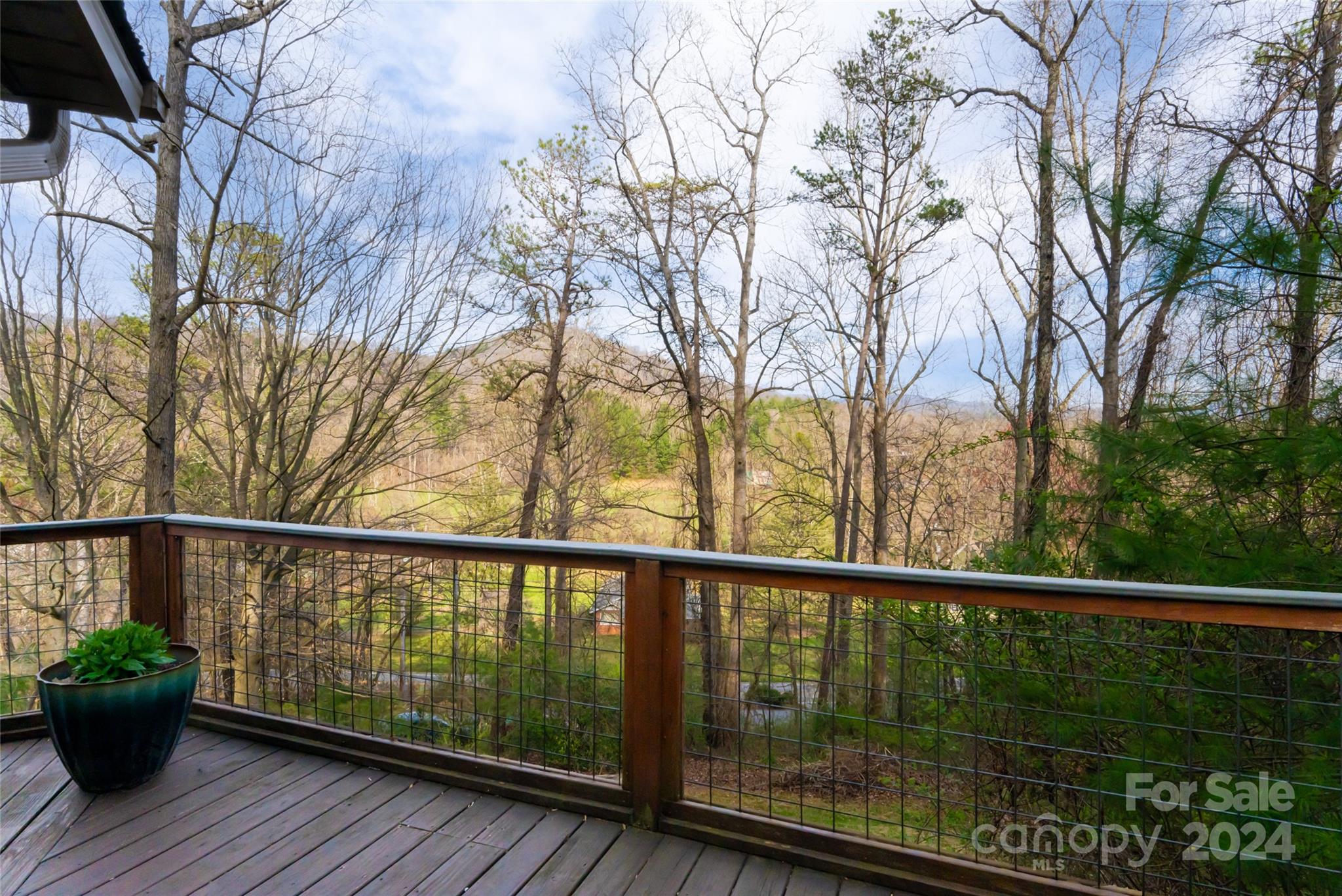 202 Laurel Ridge Road Asheville, NC 28805 - Photo 41 of 45 Gallery Image 41