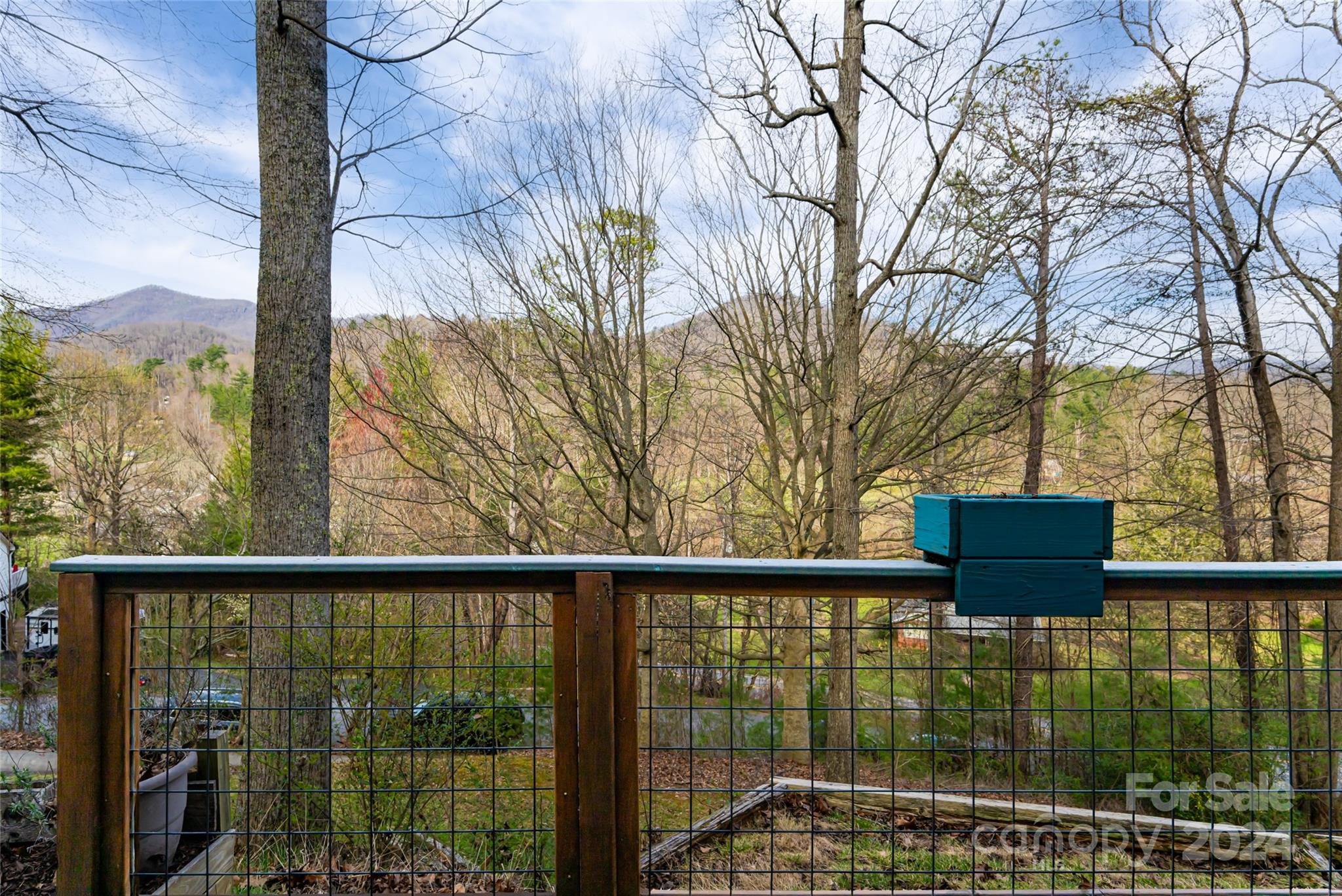 202 Laurel Ridge Road Asheville, NC 28805 - Photo 42 of 45 Gallery Image 42