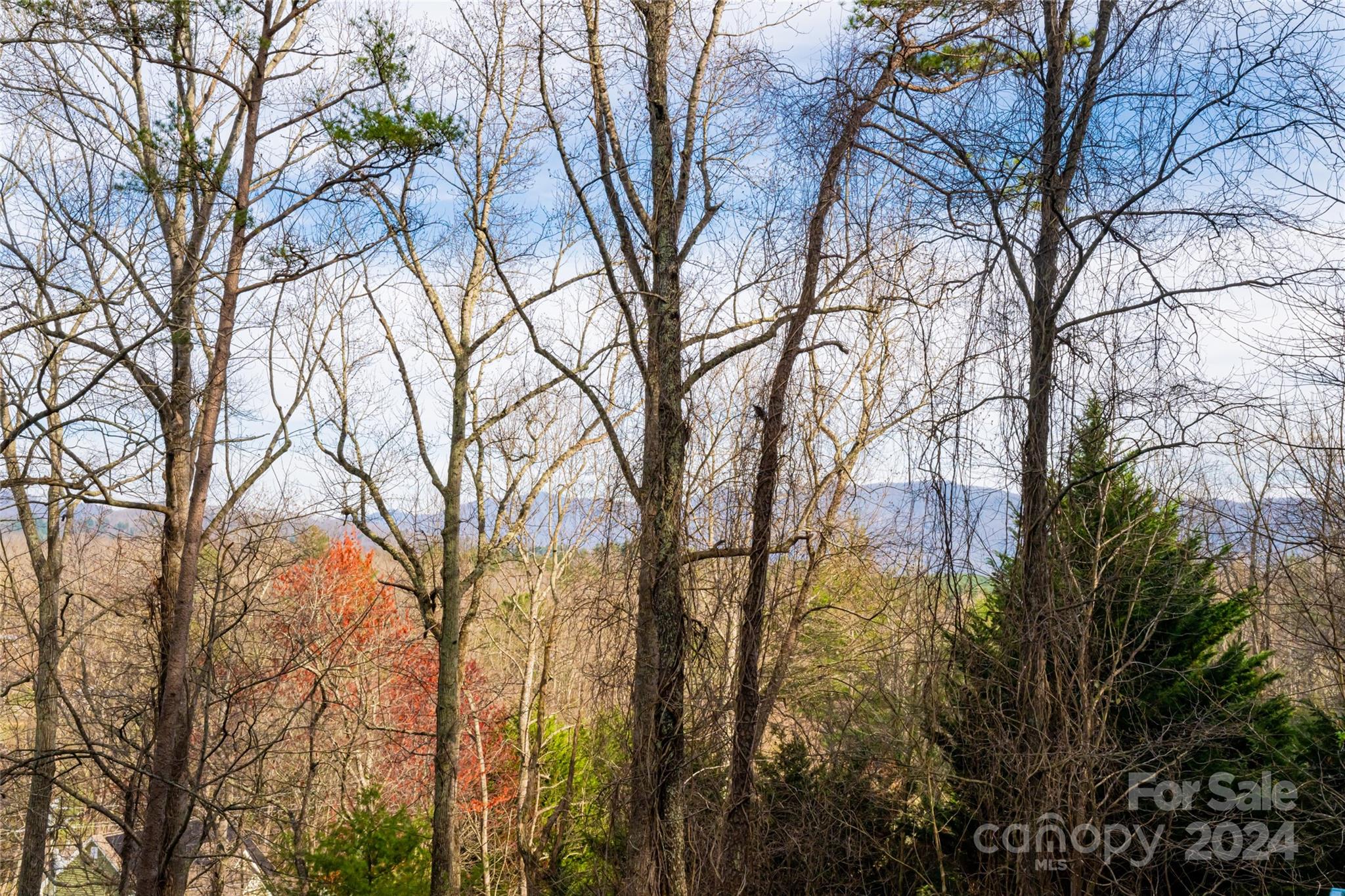 202 Laurel Ridge Road Asheville, NC 28805 - Photo 44 of 45 Gallery Image 44