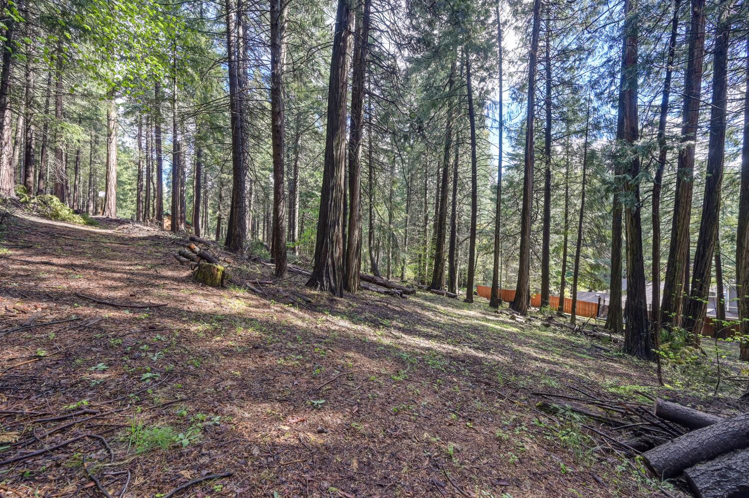 4580 Jenkinson Circle Pollock Pines, CA 95726 - Photo 55 of 78