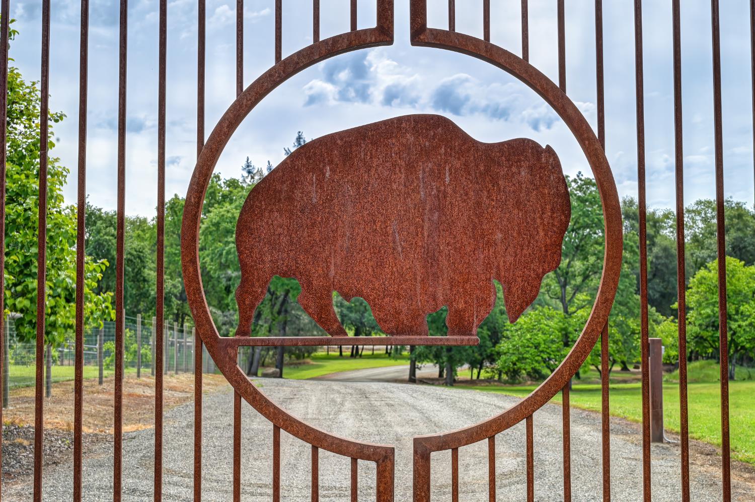 7505 Wise Road Auburn, CA 95603 - Photo 3 of 56