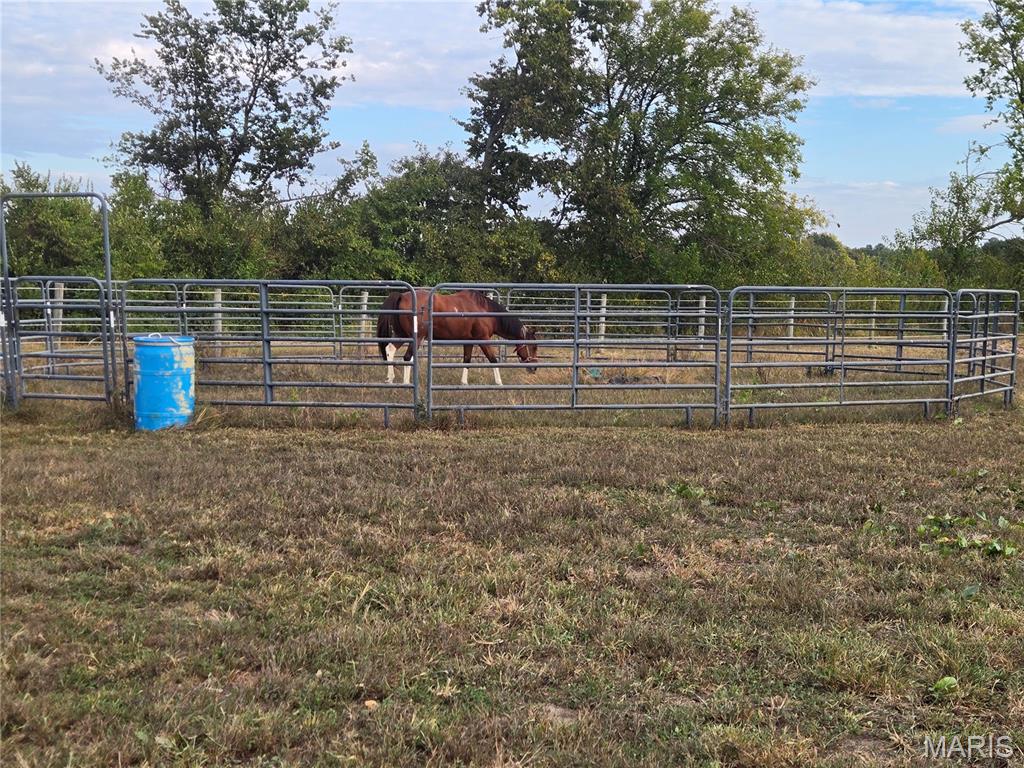 151 West Doc Lin Drive Sparta, IL 62286 - Photo 19 of 22