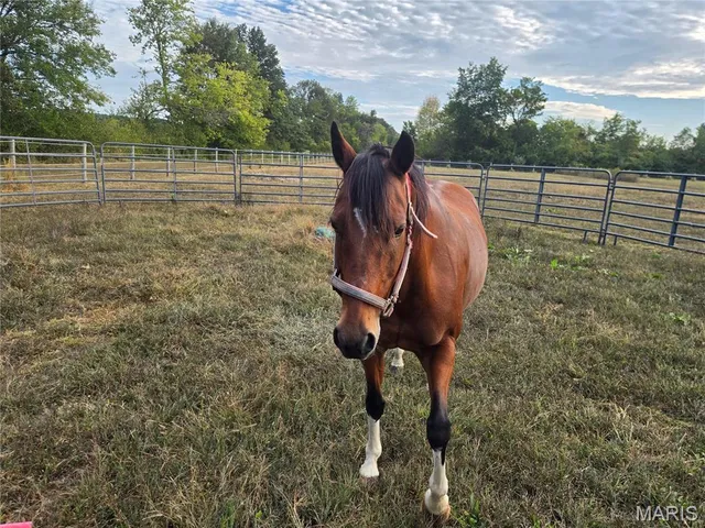 $229,000 | 151 West Doc Lin Drive, Sparta, IL 62286