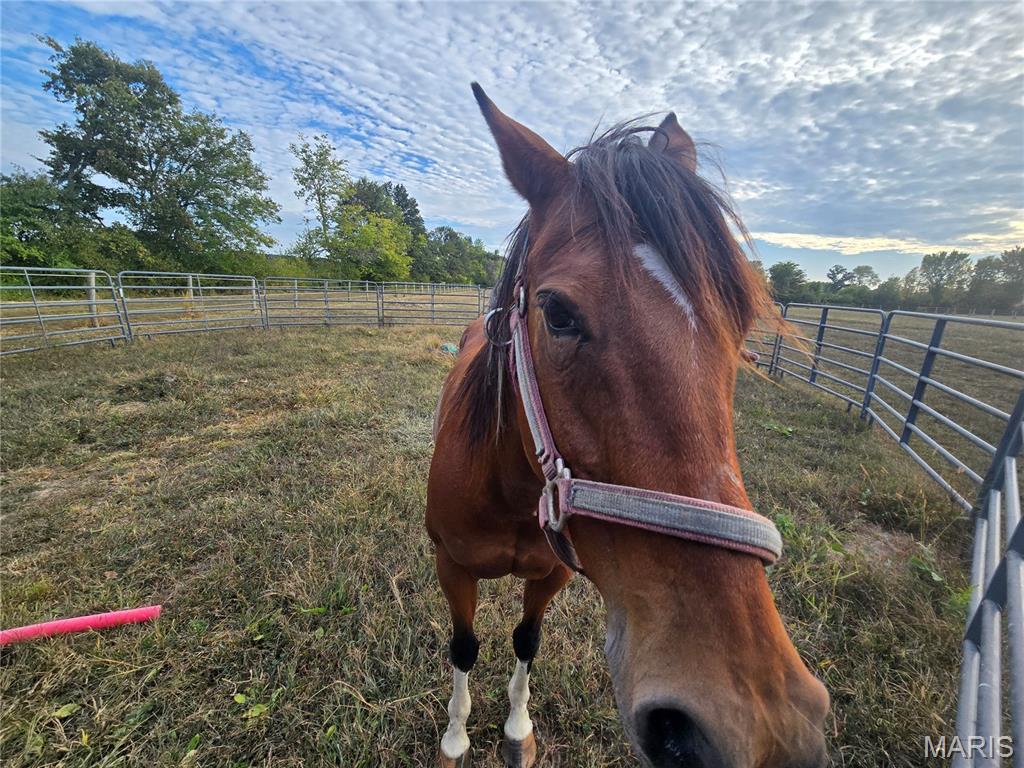 151 West Doc Lin Drive Sparta, IL 62286 - Photo 22 of 22