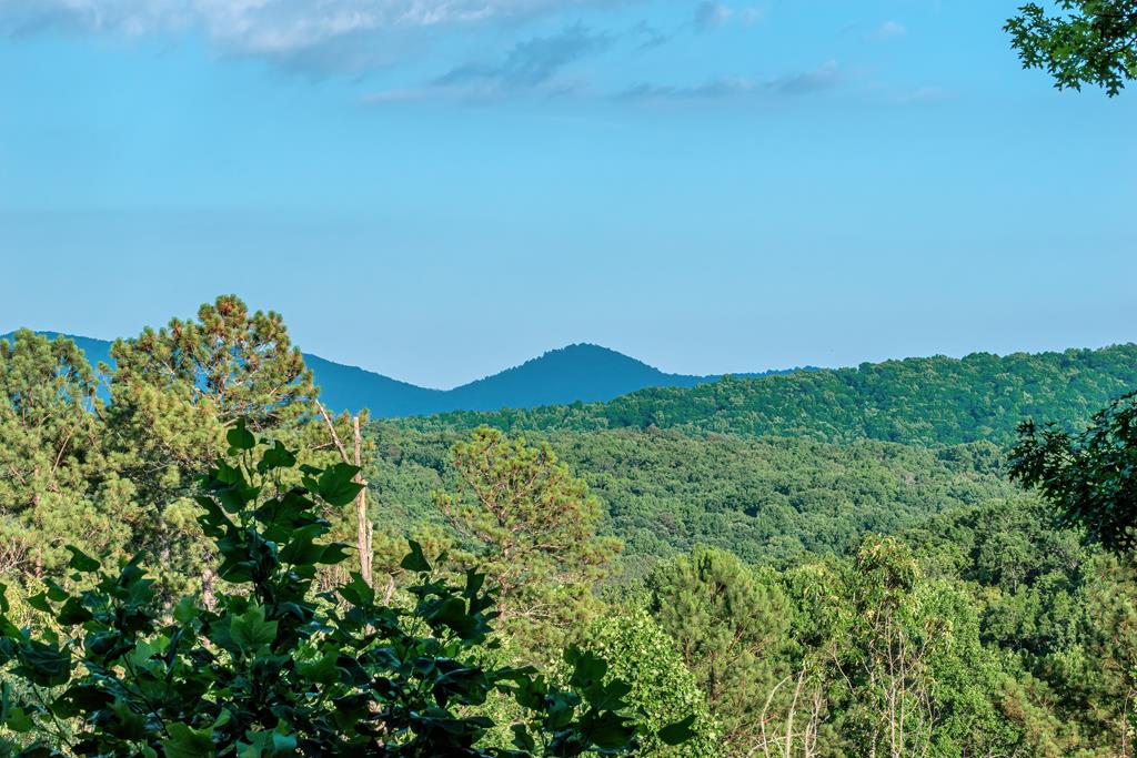 83 Carey Lane Blue Ridge, GA 30513 - Photo 67 of 73 Gallery Image 67