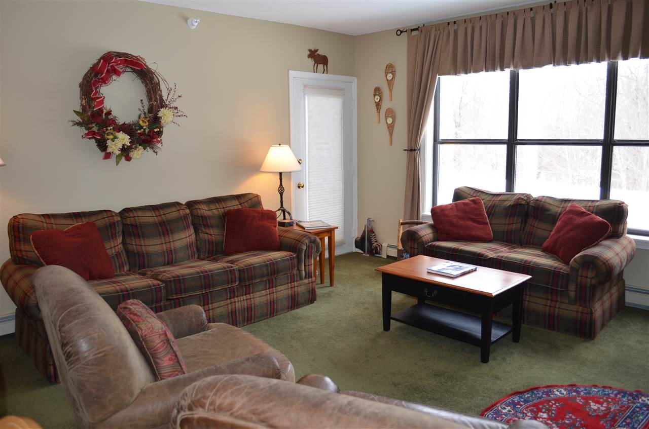 64 Fowler Road, Unit Q106 Ludlow, VT 05149 - Photo 17 of 40 Gallery Image 17