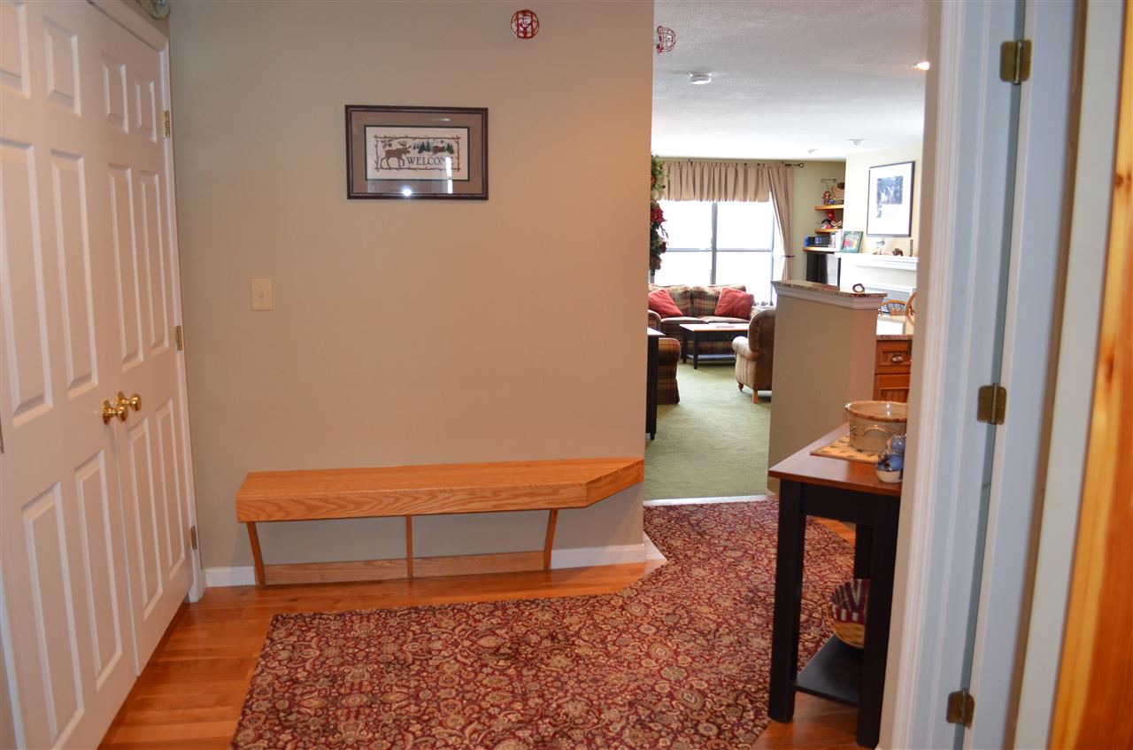 64 Fowler Road, Unit Q106 Ludlow, VT 05149 - Photo 3 of 40 Gallery Image 3