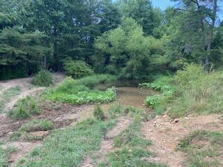 294 Hooster Run Road Wellington, KY 40387 - Photo 17 of 24 IMG_0751