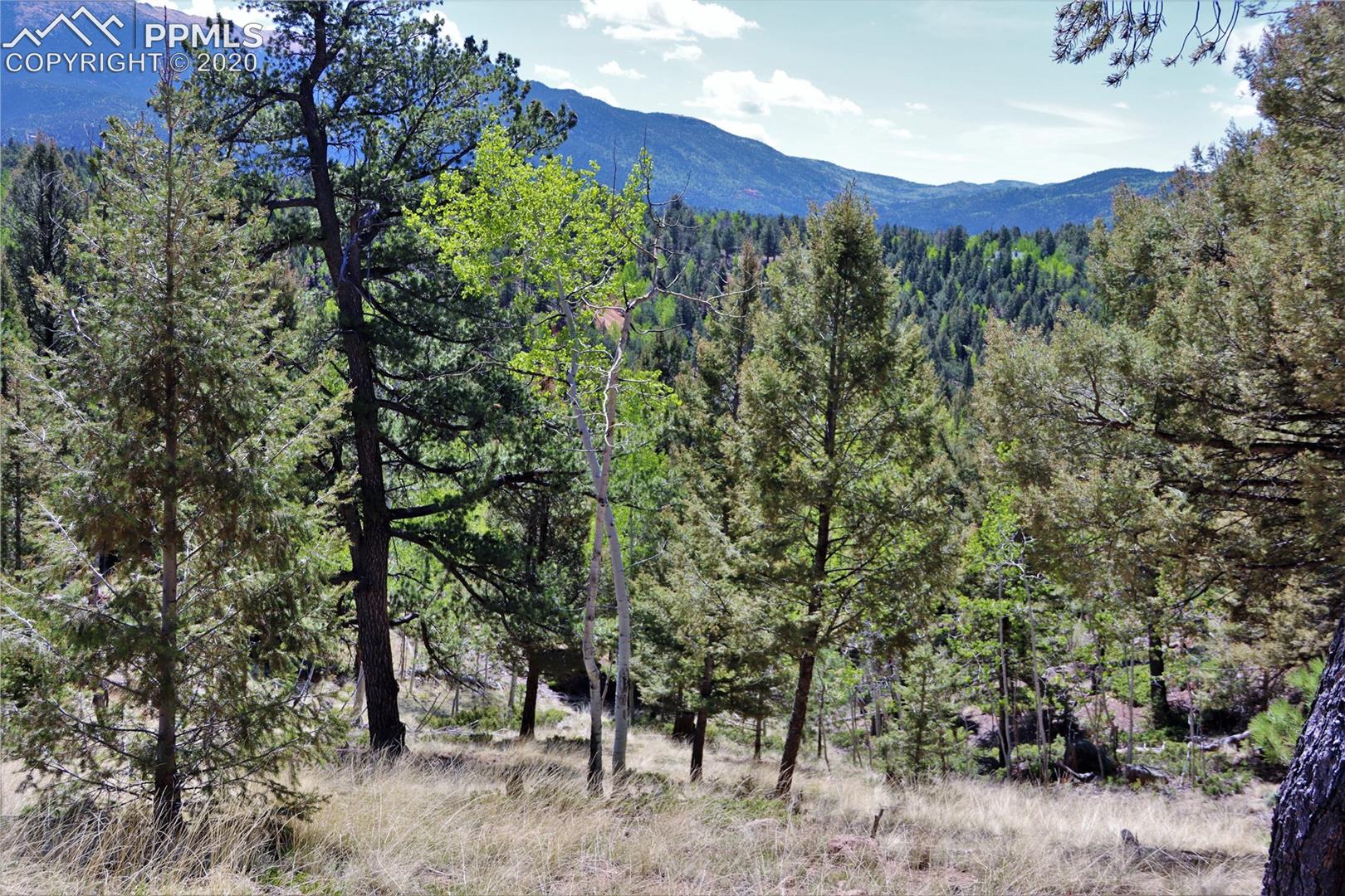 133 Haven Road Divide, CO 80814 - Photo 1 of 6
