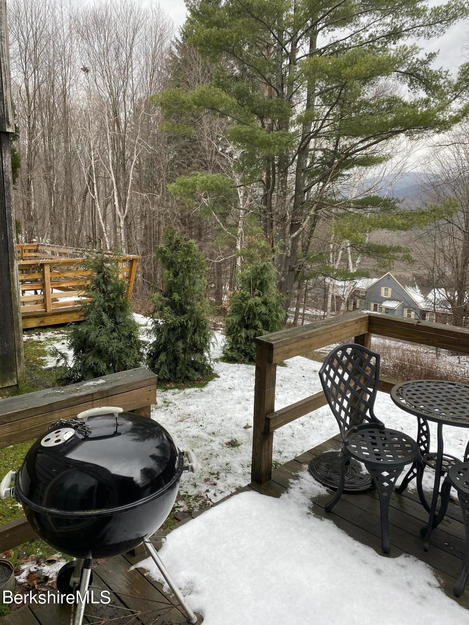 43 Corey Road, Unit 43 Hancock, MA 01237 - Photo 27 of 28 IMG_2448