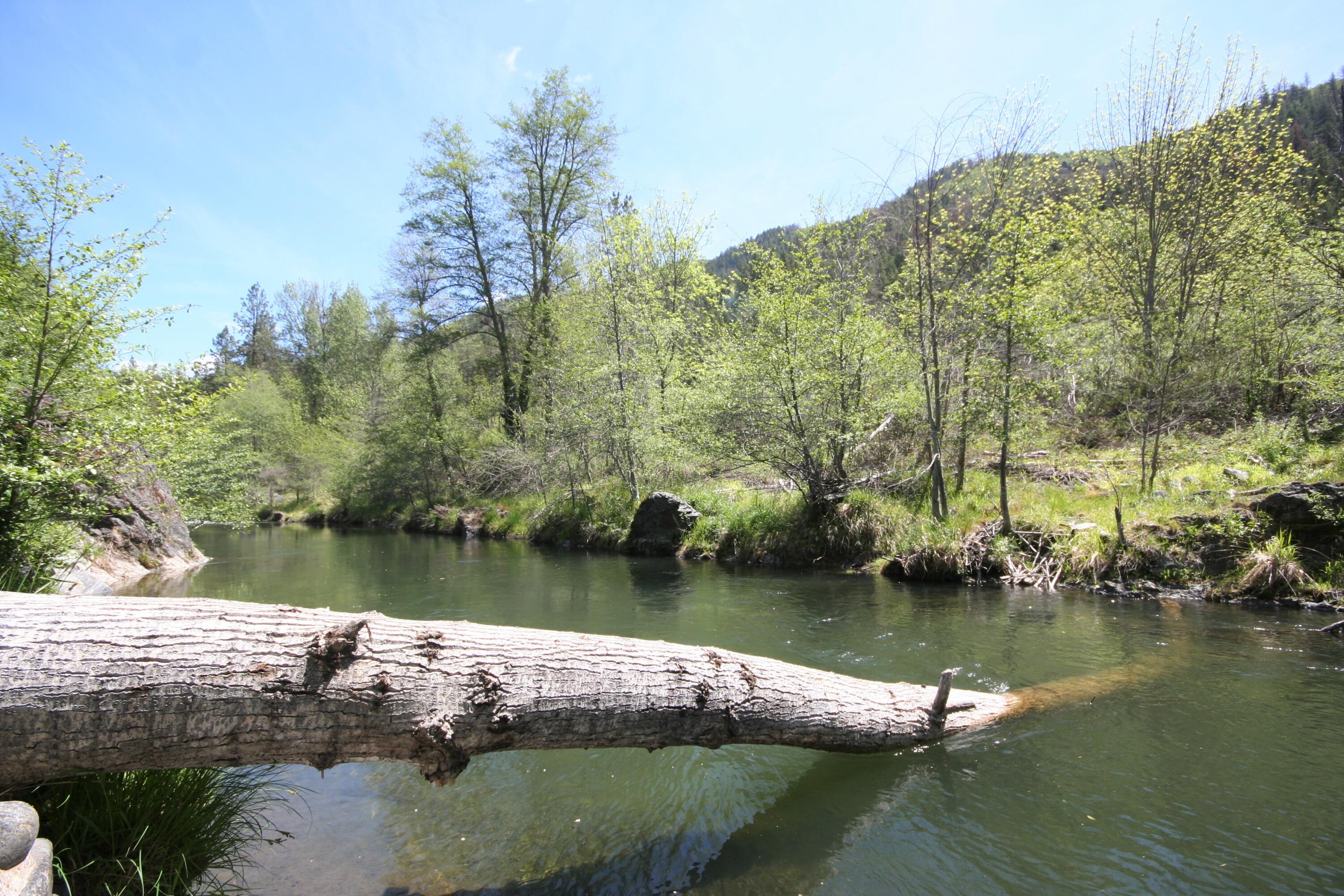 9075 Upper Applegate Road Jacksonville, OR 97530 - Photo 58 of 73 IMG_2414