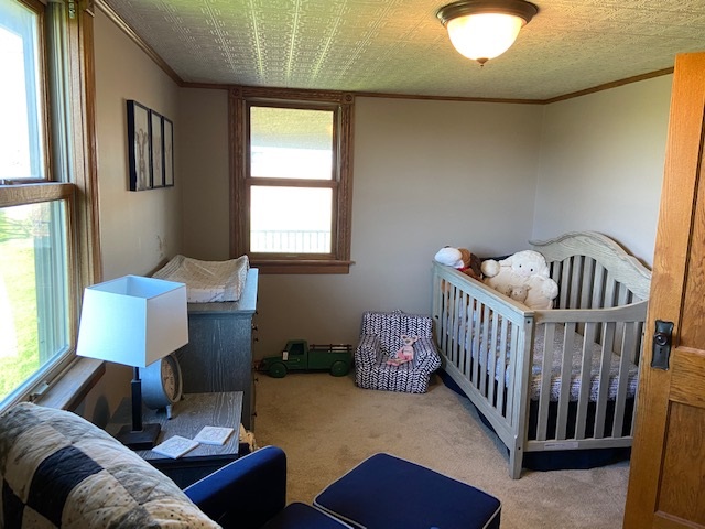 6399 South Summerton Road Shepherd, MI 48883 - Photo 16 of 36 1873745-15.JPG