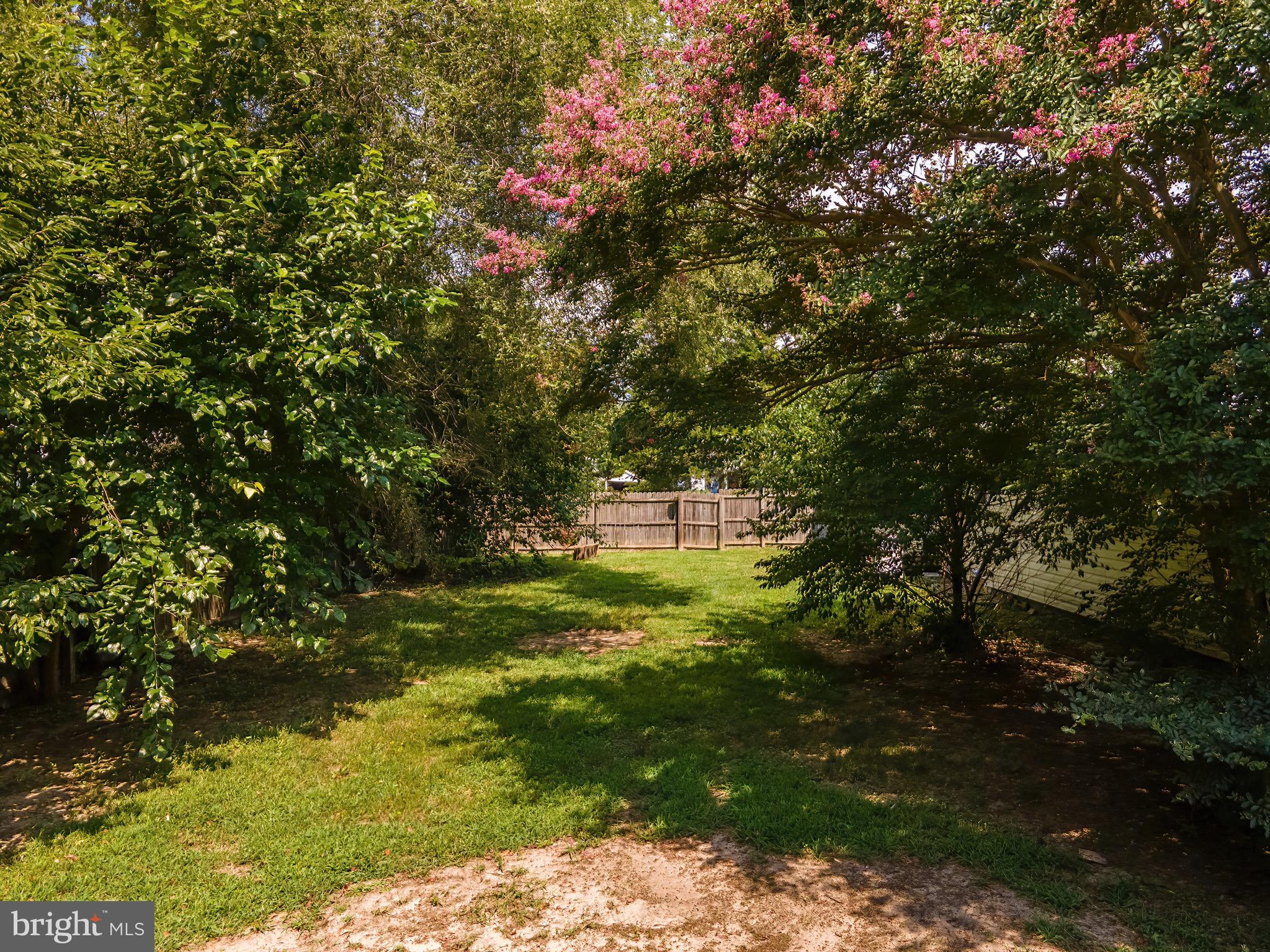 904 Market Street Denton, MD 21629 - Photo 20 of 49