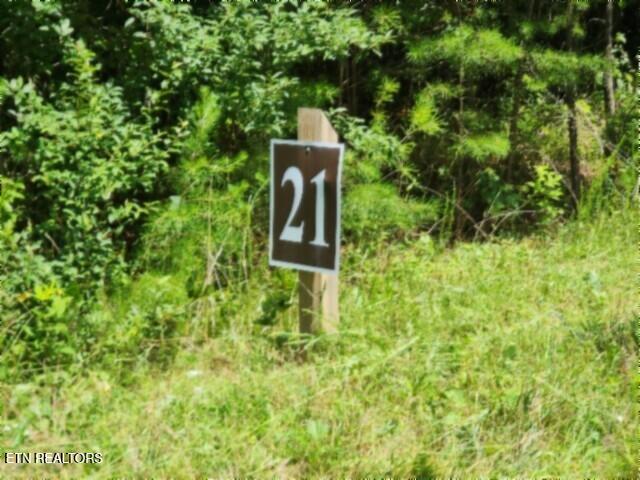 674 Rhodas Way Sunbright, TN 37872 - Photo 2 of 37 20260629_121606