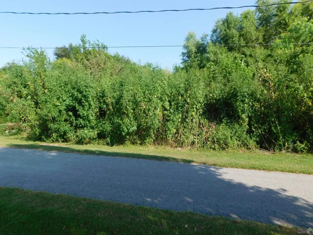 $15,000 | Tbd East 100th Street, Cut Off, LA 70345