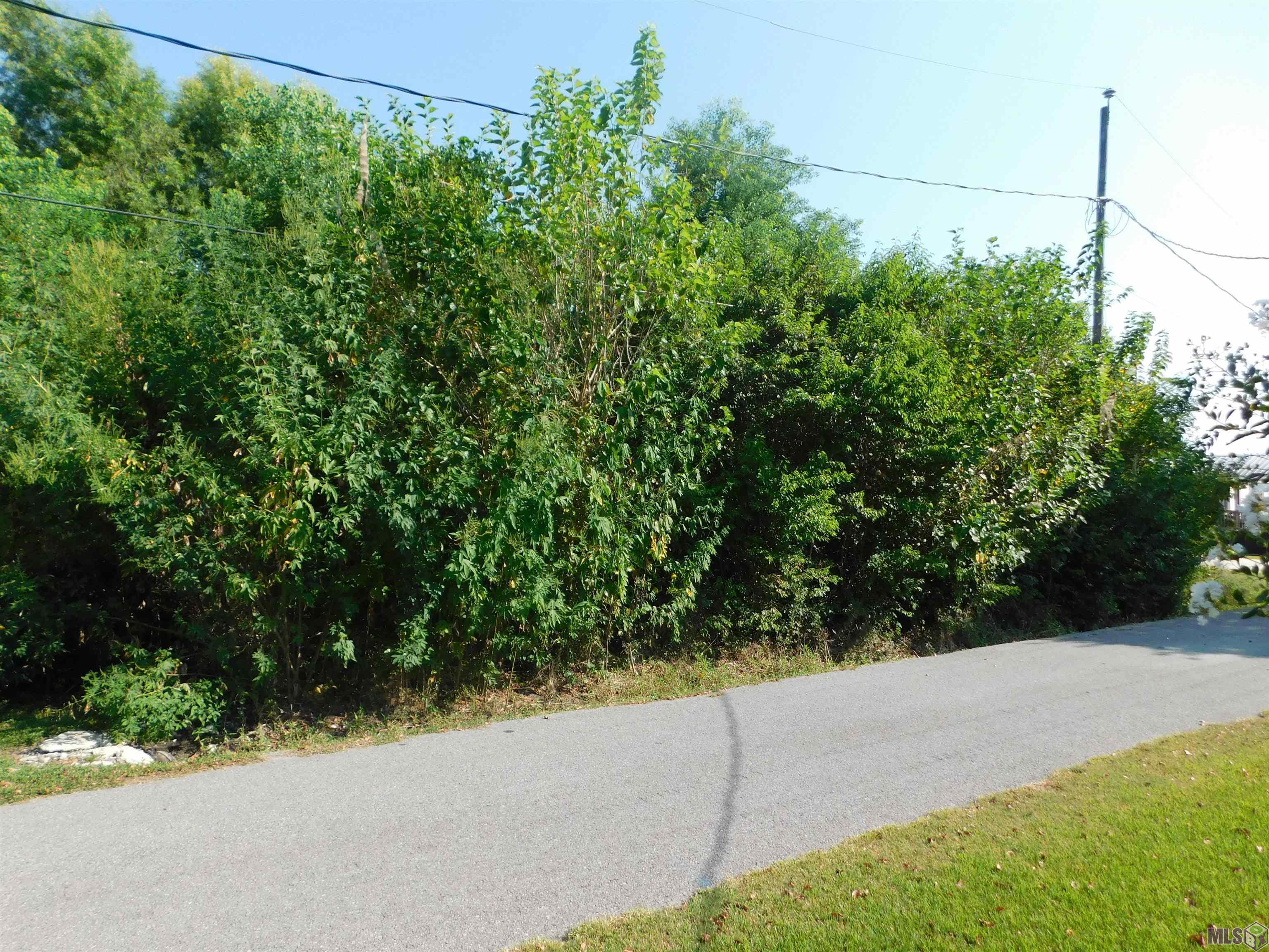 Tbd East 100th Street Cut Off, LA 70345 - Photo 2 of 2