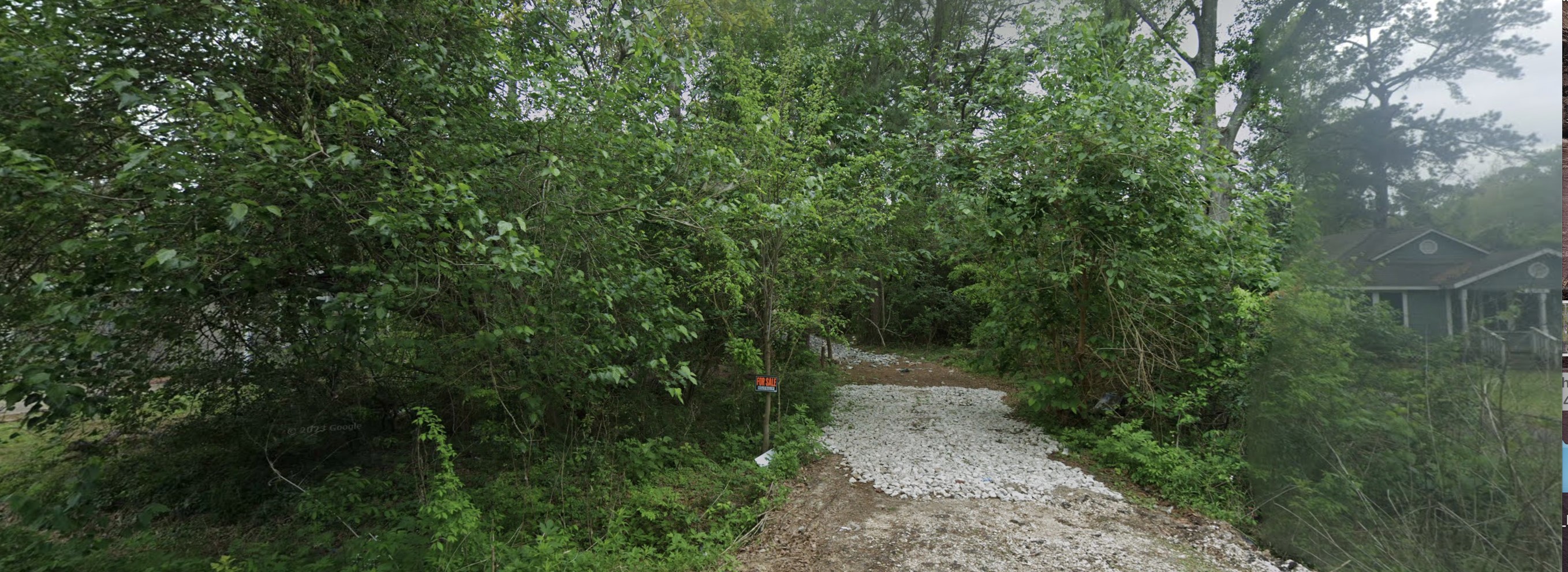 0 Bland Street Houston, TX 77091 - Photo 3 of 3 a view of a forest with a tree