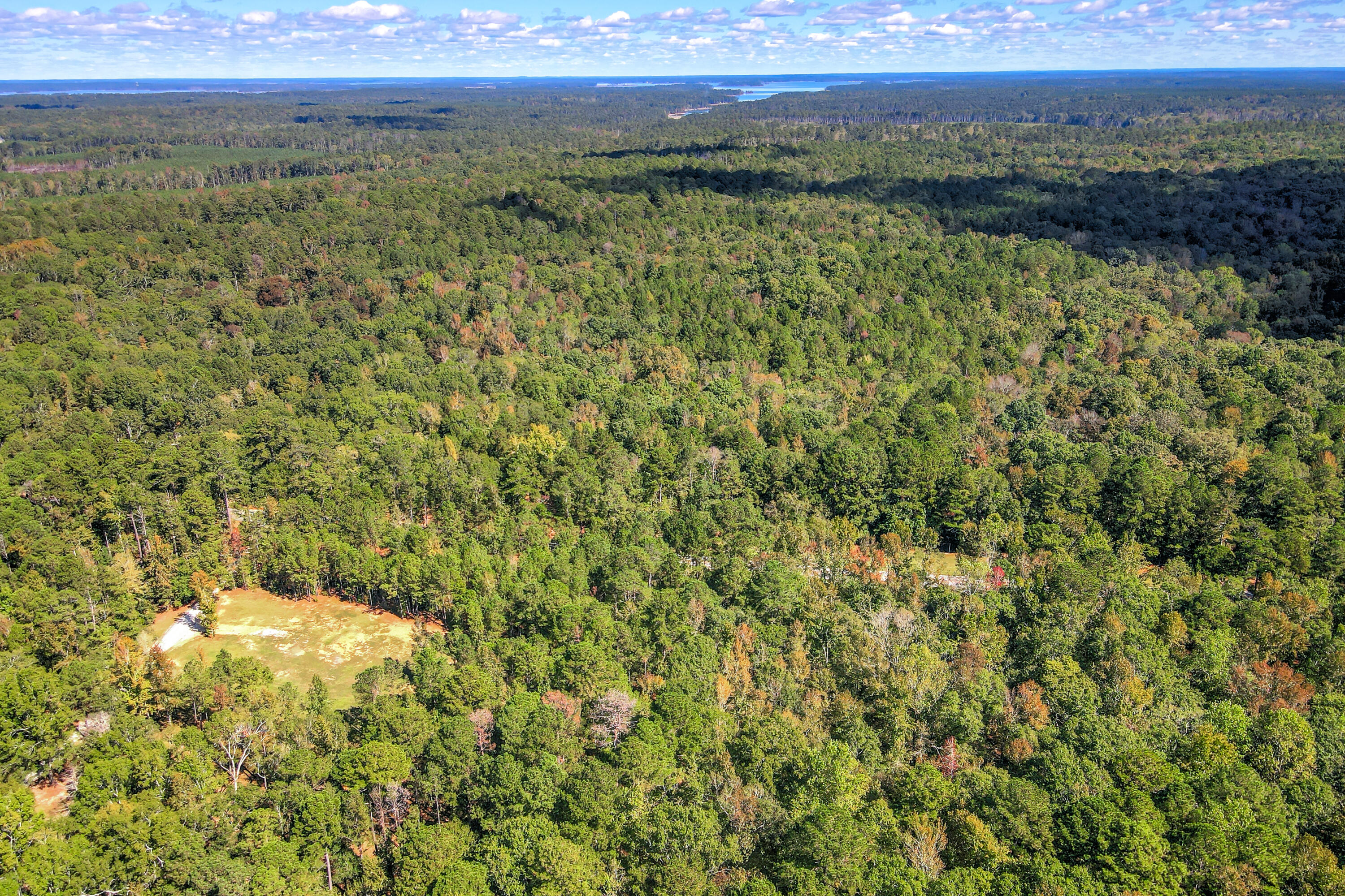 3256 Ray Owens Road Appling, GA 30802 - Photo 22 of 33 14-114