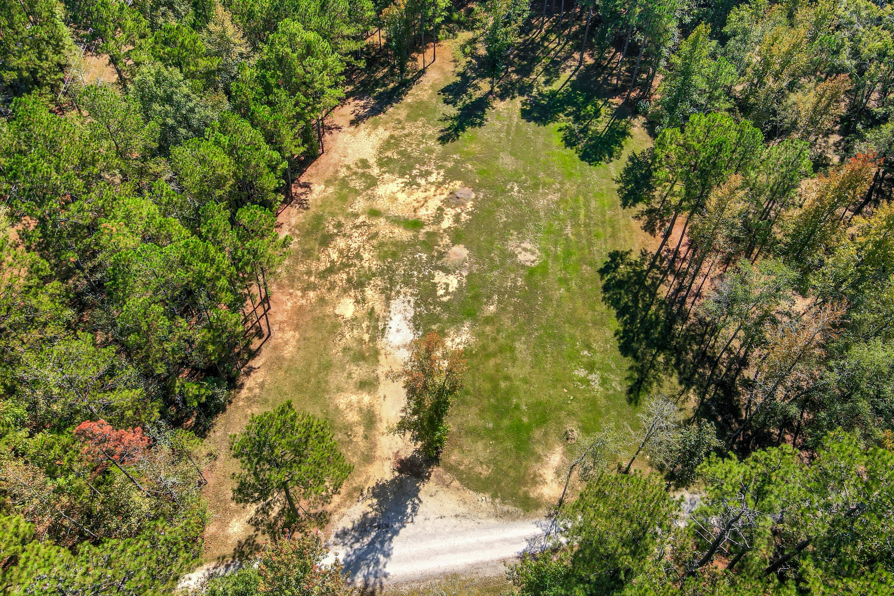 3256 Ray Owens Road Appling, GA 30802 - Photo 27 of 33 19-119
