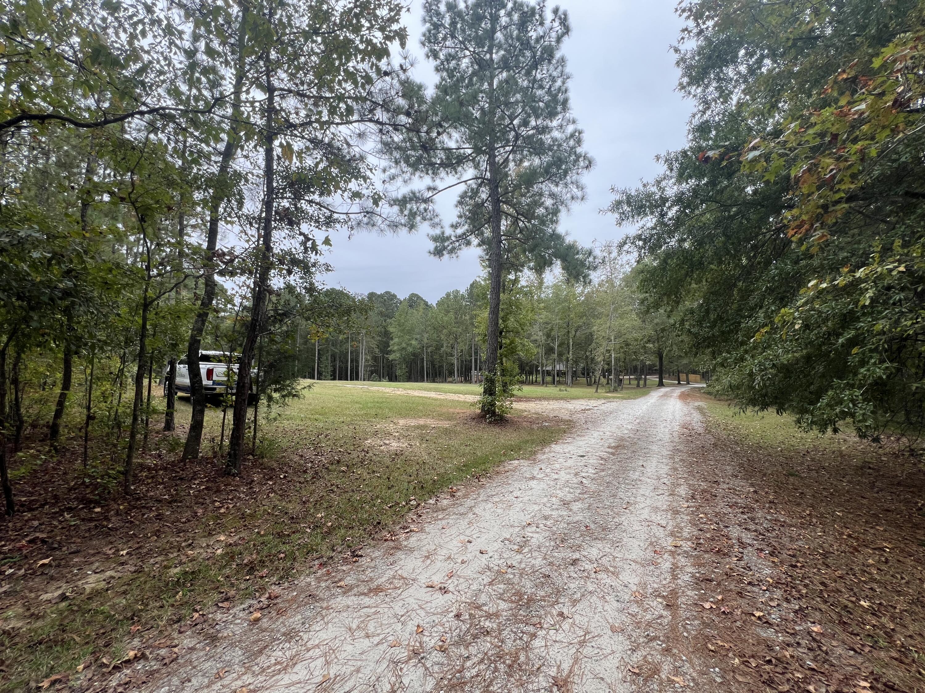 3256 Ray Owens Road Appling, GA 30802 - Photo 3 of 33 IMG_1326
