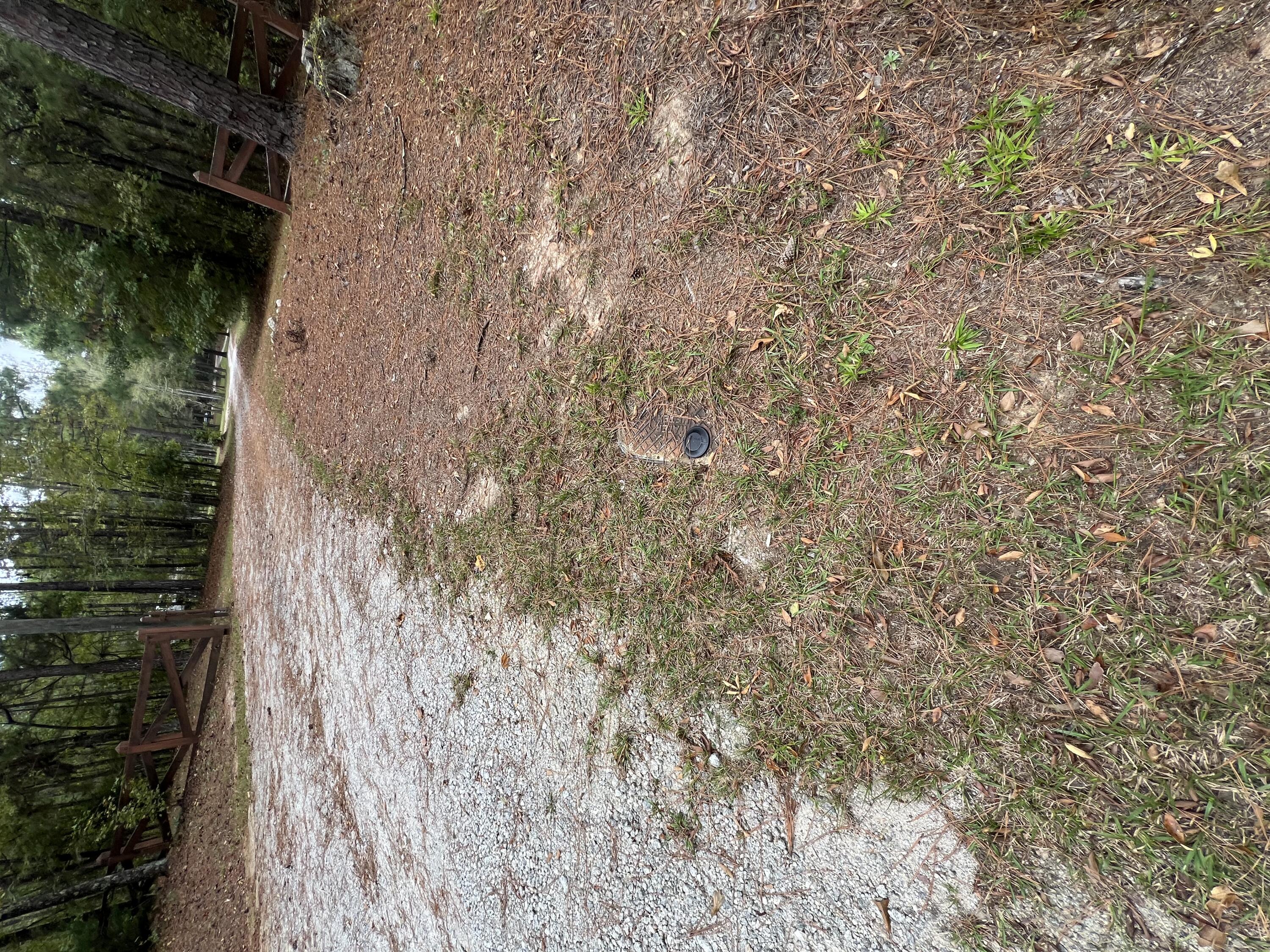 3256 Ray Owens Road Appling, GA 30802 - Photo 4 of 33 IMG_1327