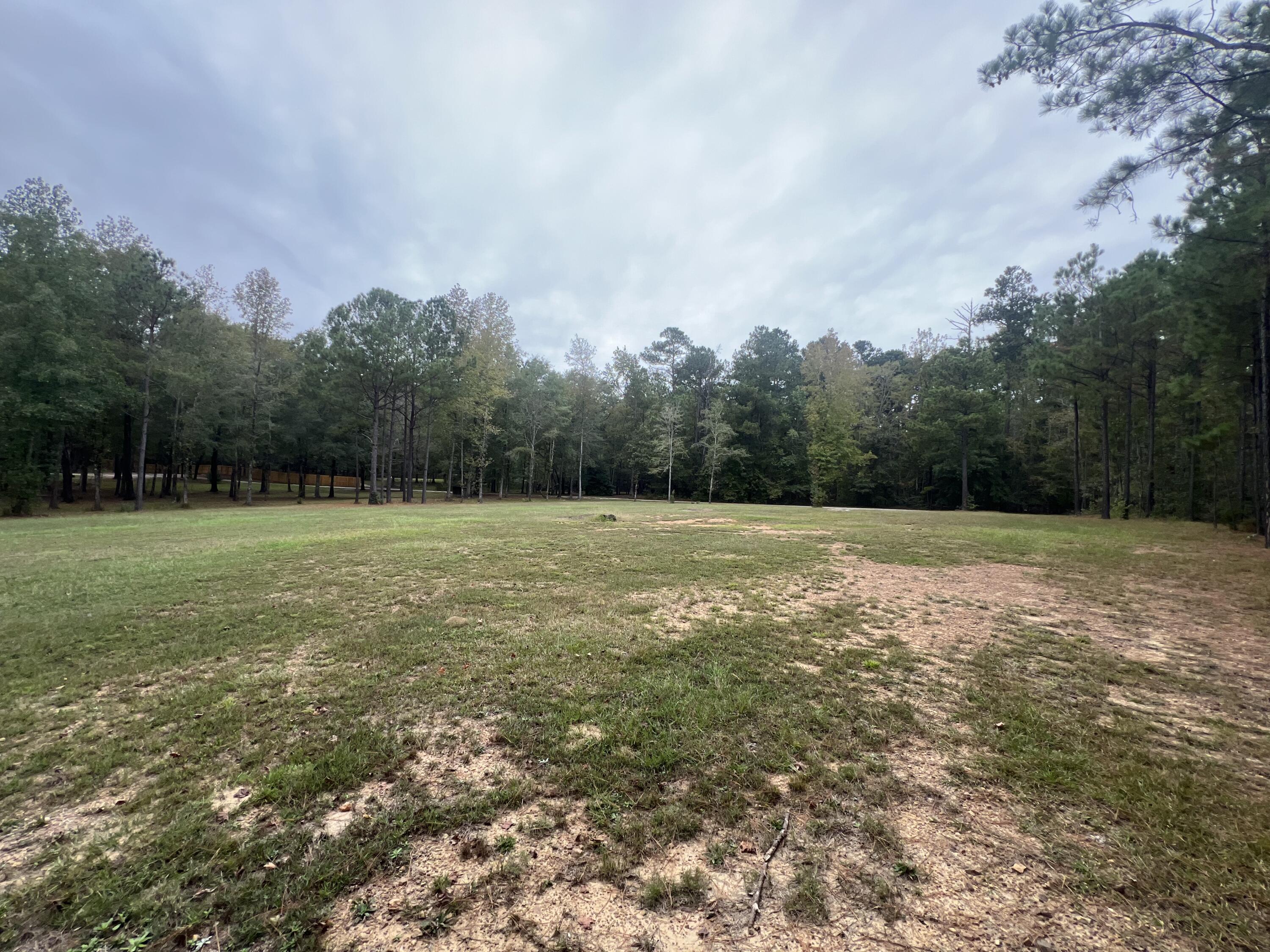 3256 Ray Owens Road Appling, GA 30802 - Photo 6 of 33 IMG_1329