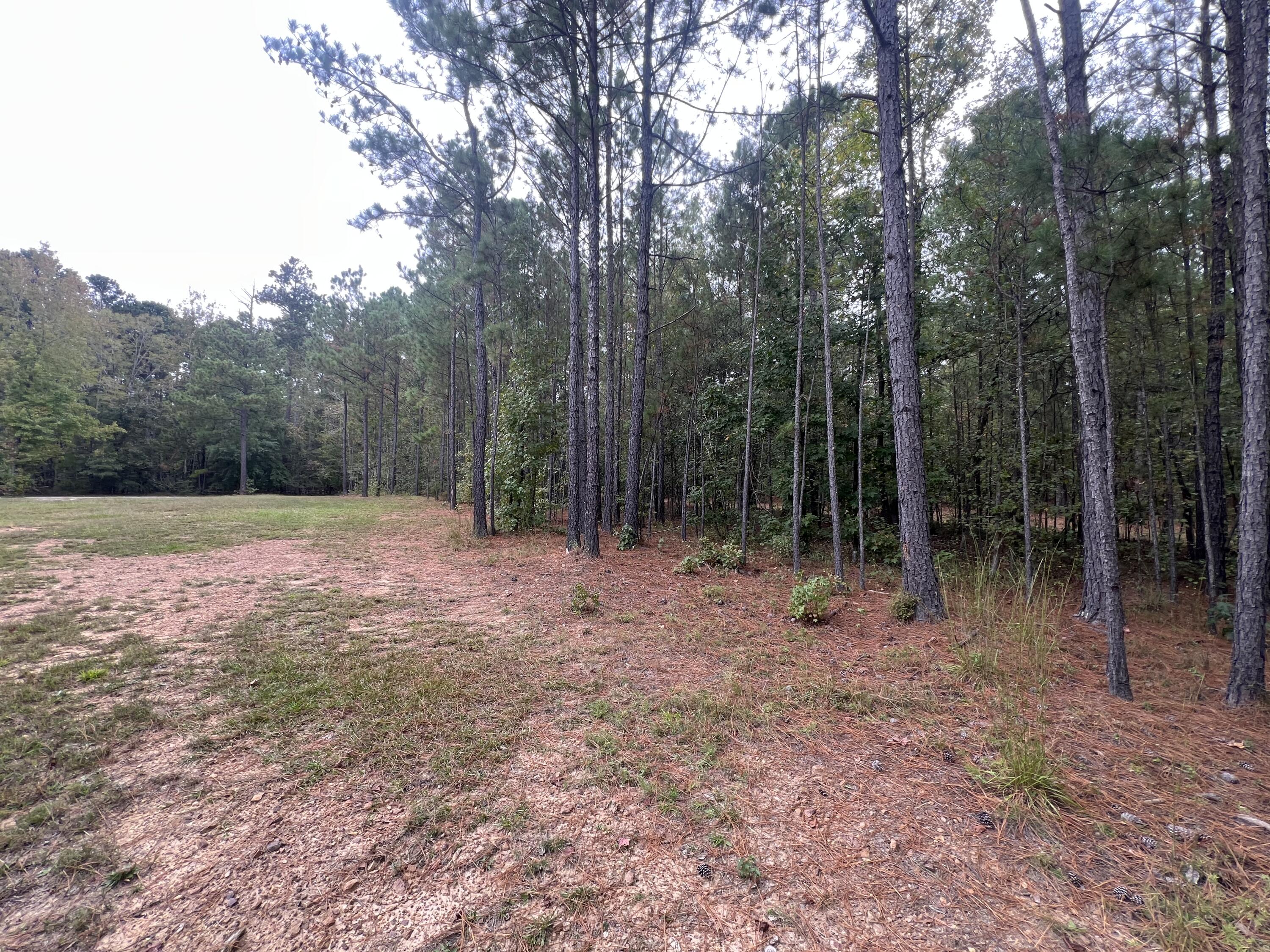 3256 Ray Owens Road Appling, GA 30802 - Photo 7 of 33 IMG_1330