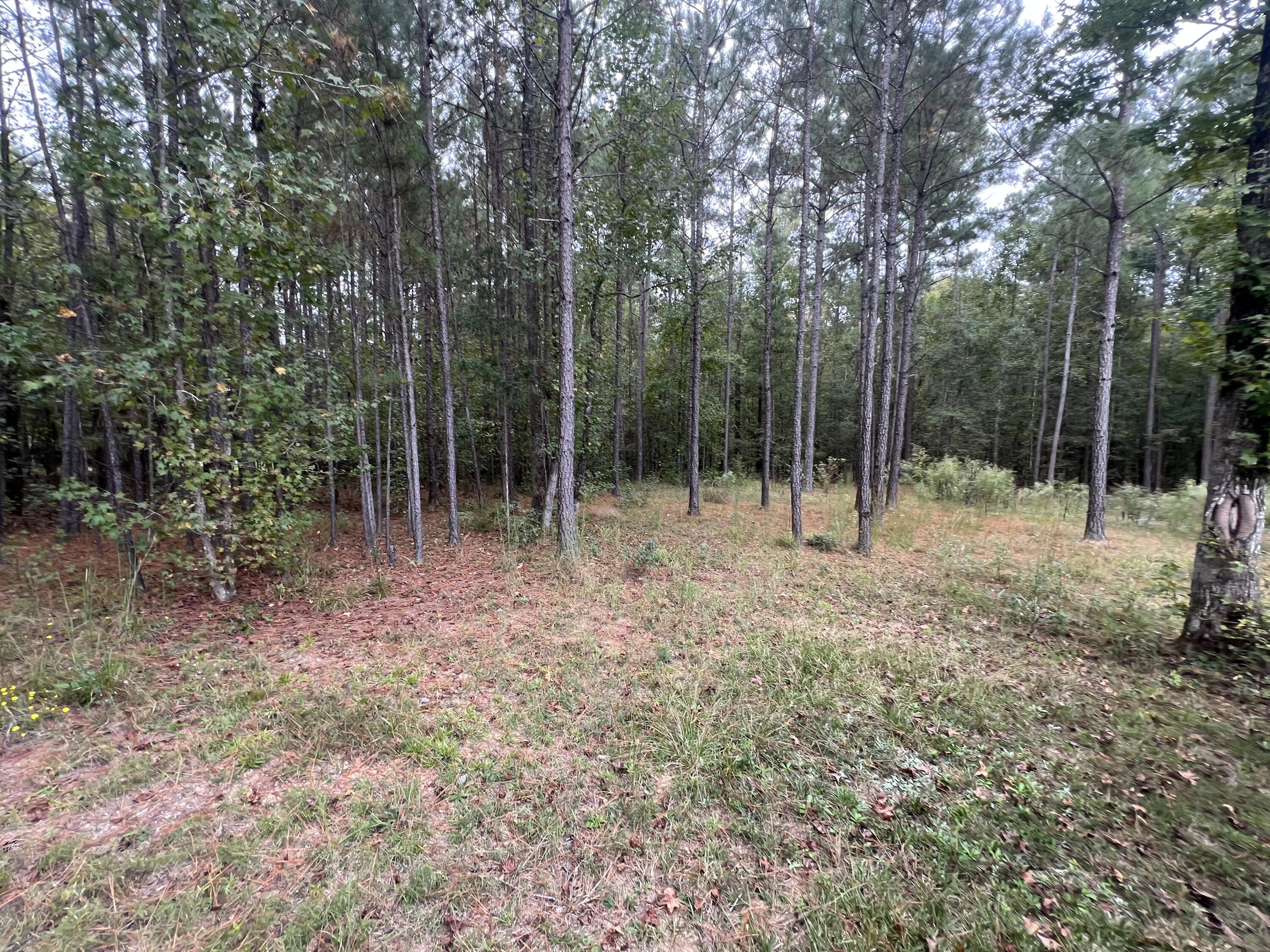 3256 Ray Owens Road Appling, GA 30802 - Photo 8 of 33 IMG_1331