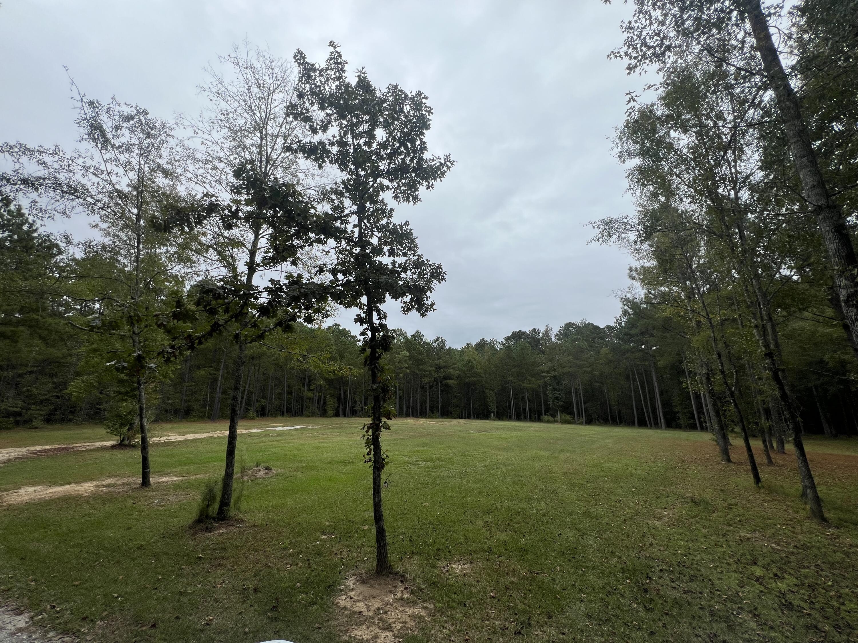 3256 Ray Owens Road Appling, GA 30802 - Photo 9 of 33 IMG_1333