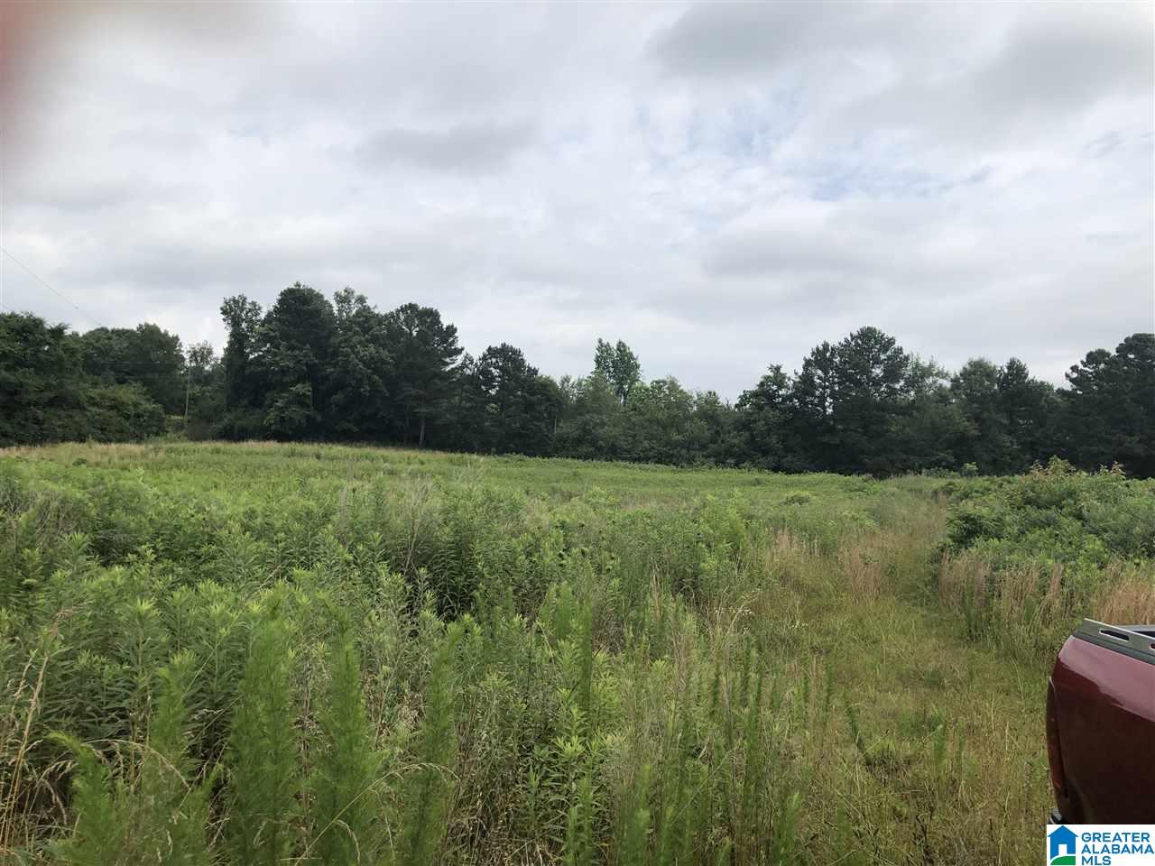 0 Maple Crest Lane Hayden, AL 35079 - Photo 15 of 30