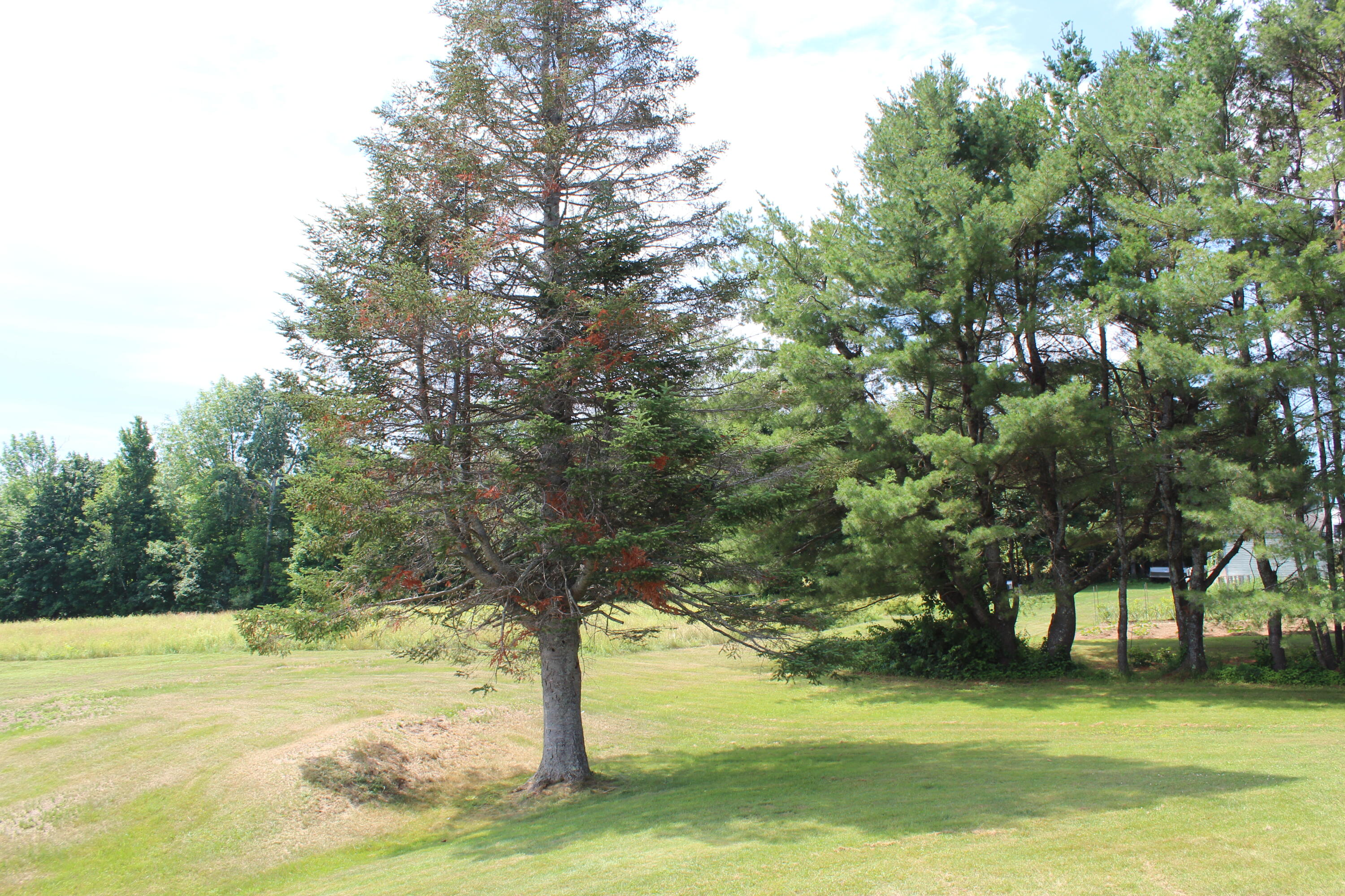 773 West River Road Augusta, ME 04330 - Photo 22 of 77 20