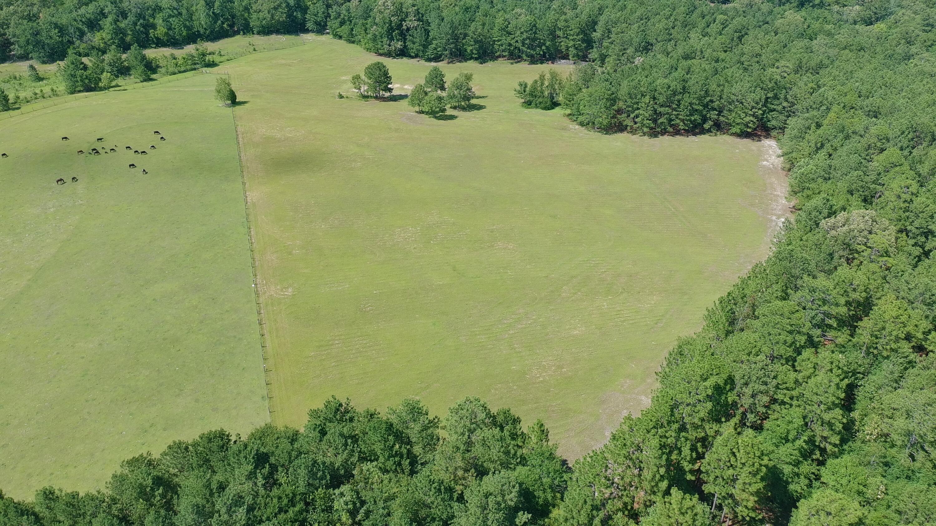 41-acres Whiskey Road Aiken, SC 29803 - Photo 9 of 44