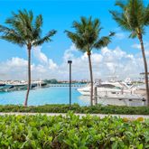a view of a garden with a palm tree