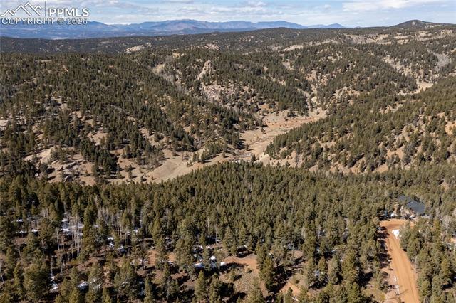 81 Haven Road Divide, CO 80814 - Photo 7 of 22 Gallery Image 7