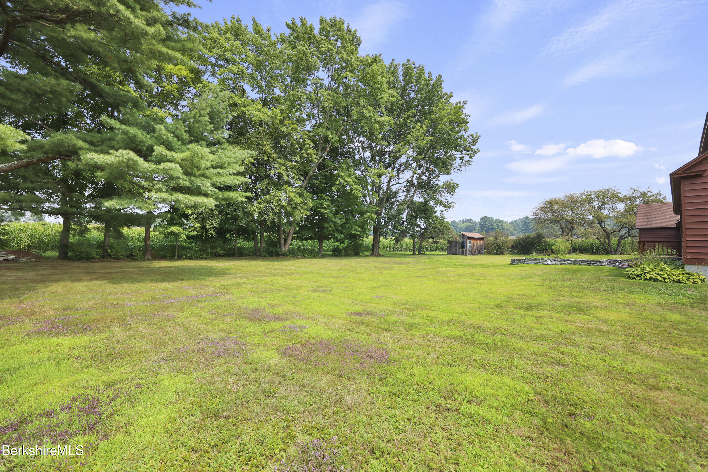36 Egremont Plain Road Great Barrington, MA 01230 - Photo 6 of 36 Back Yard